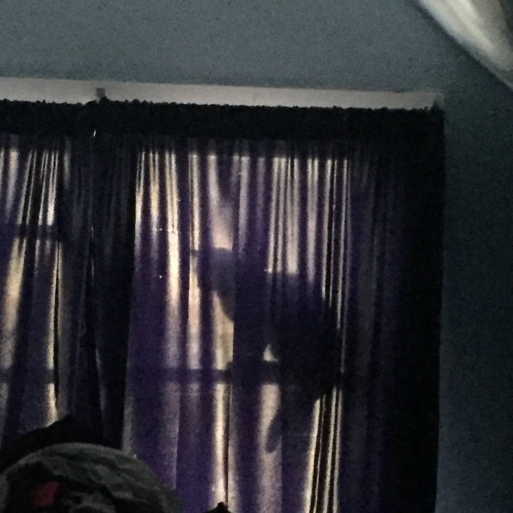 Meet your Posher, Gab